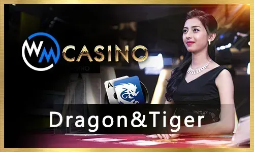 JL 138 Live Casino